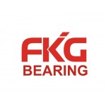 FKG UK BEARING